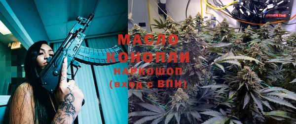 индика Приозерск