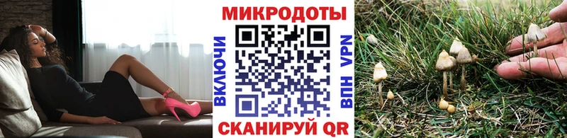 Псилоцибиновые грибы ЛСД  Светогорск 